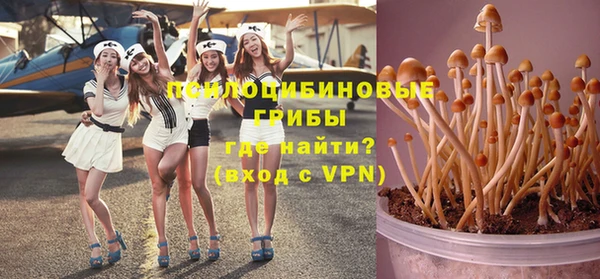 бошки Абинск