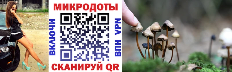 Галлюциногенные грибы Cubensis  Новоалександровск 